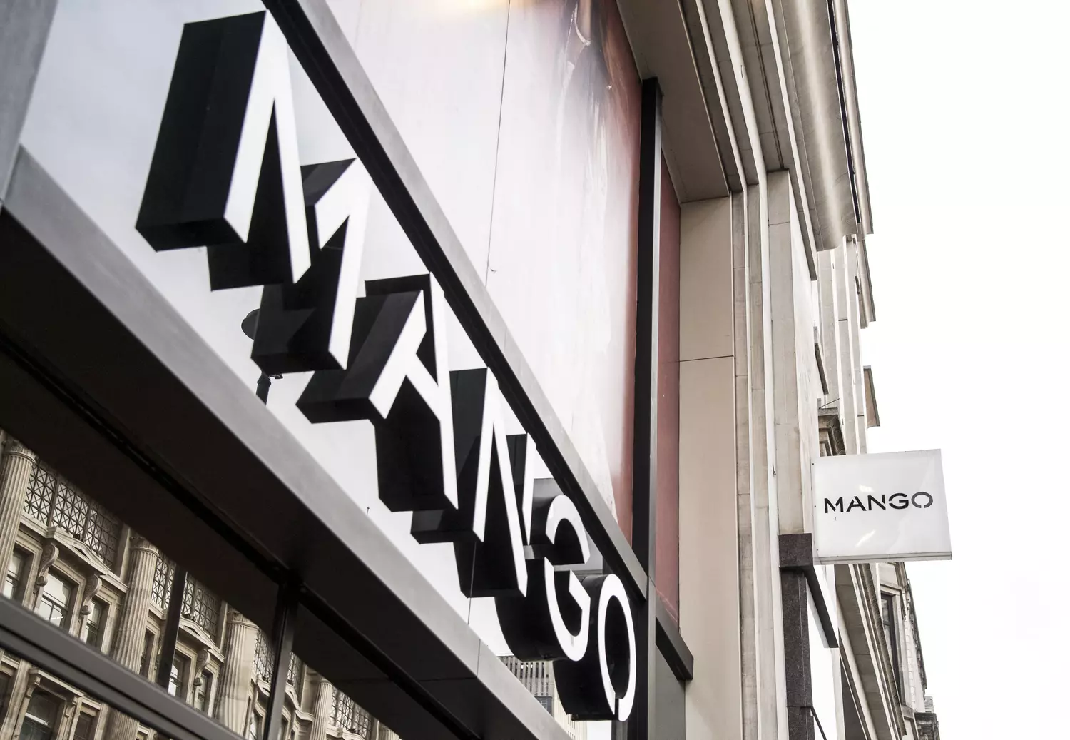 Mango in Turmoil: Accidental Fall or Disguised Crime